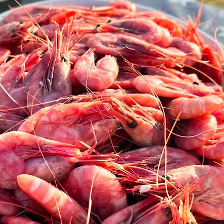 House In Villaer Finnsnes