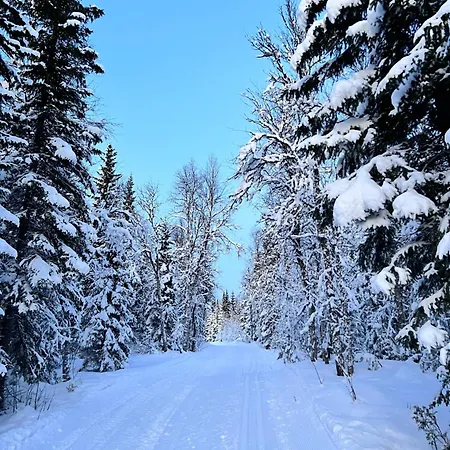 Villaer House In Finnsnes