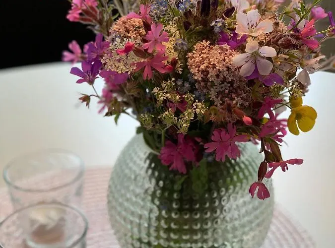 House In Villa Finnsnes