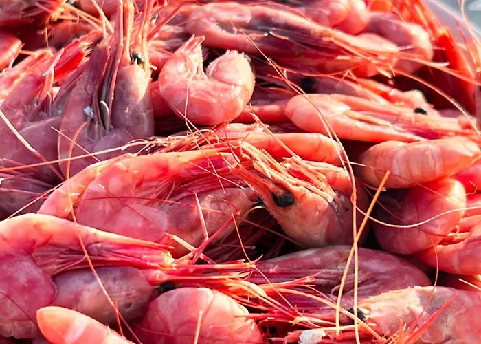 House In Villa Finnsnes