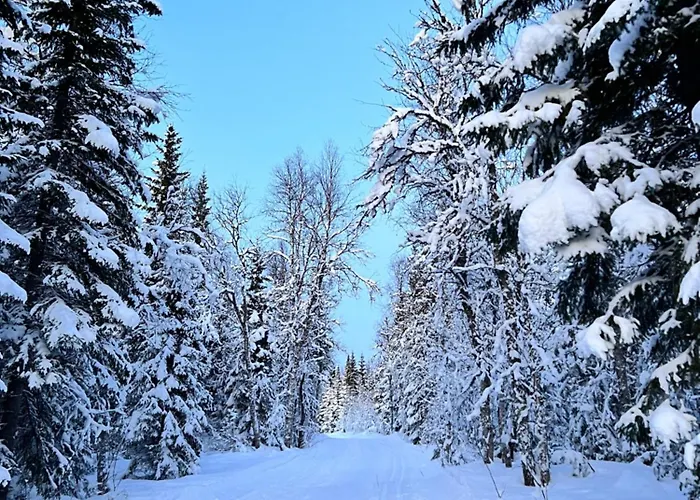 Villa House In Finnsnes